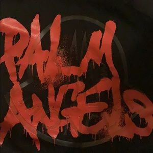 Moncler Palm Angels Hoodie